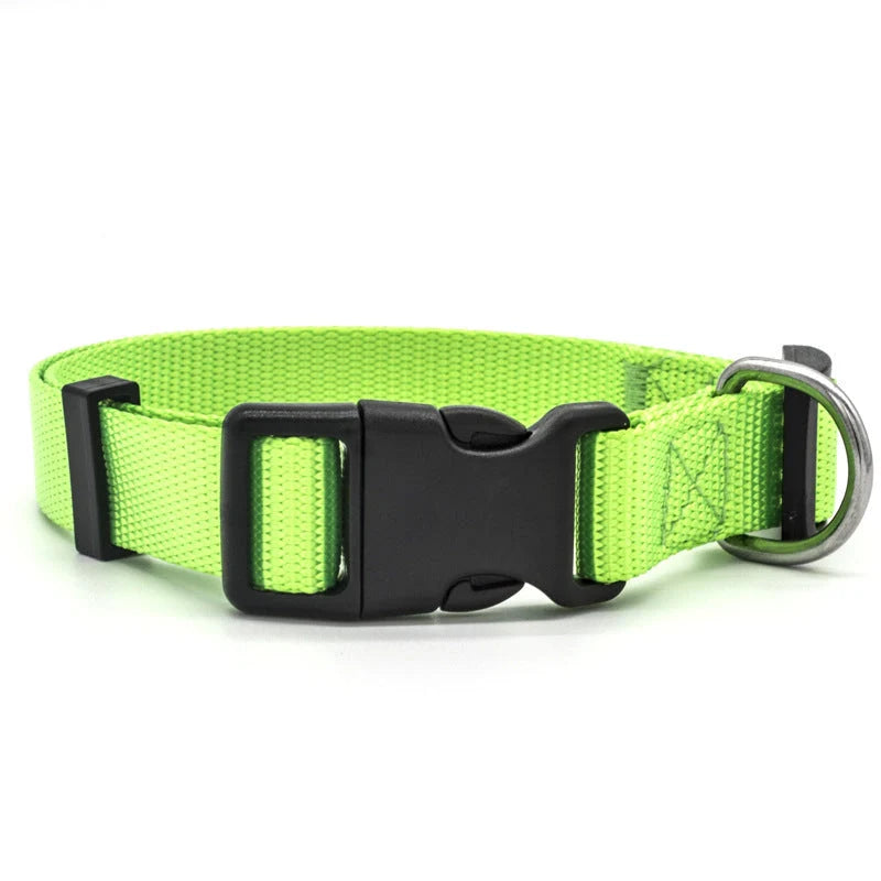 Soft nylon pet collar in various colours, adjustable for cats and dogs