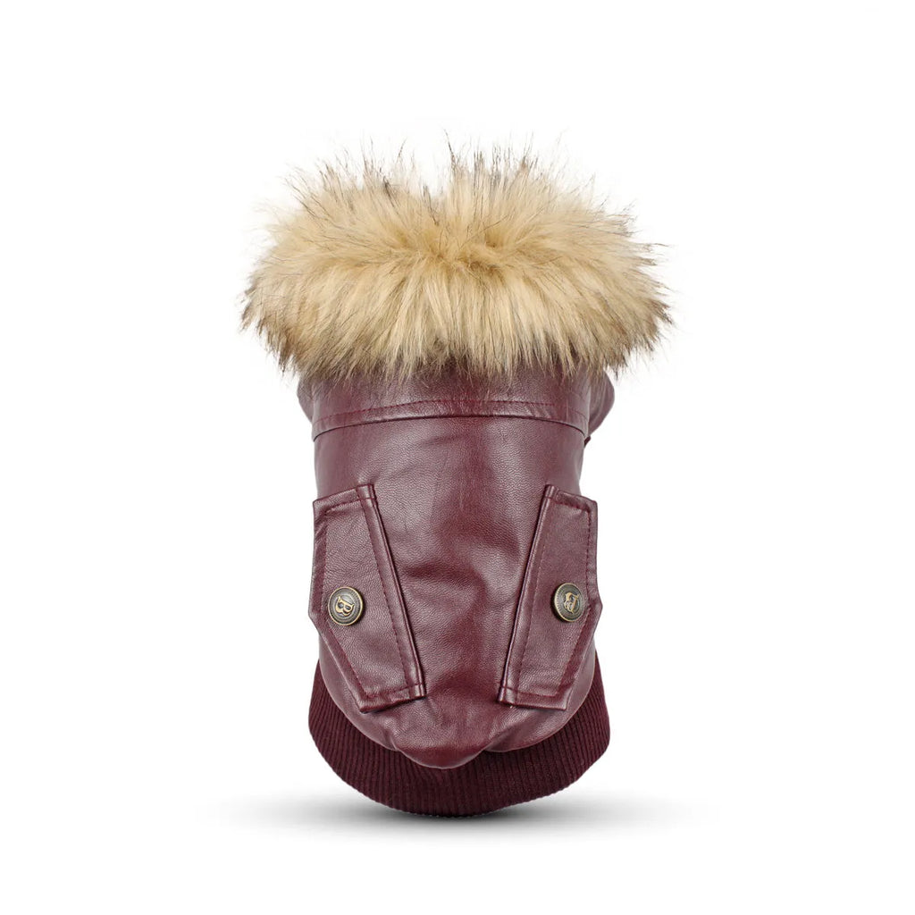 Dog wearing a wine red PU leather coat with faux fur collar and double pockets