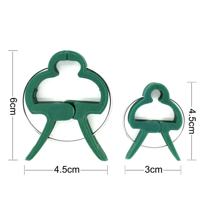 Green plastic and zinc plant fixing clips in large and small sizes for climbing plants.