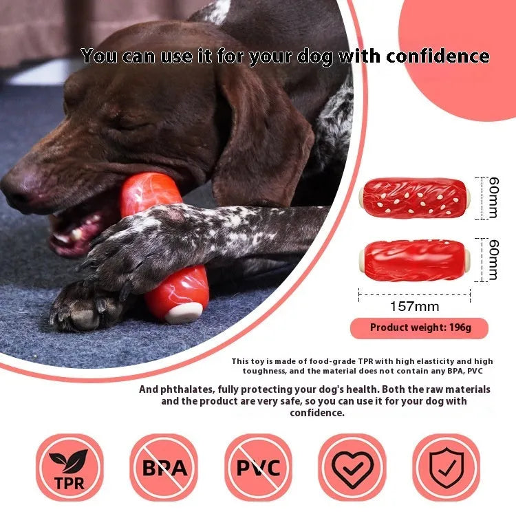 Primary colour bone-shaped dog chew toy with textured rubber cleaning surface.