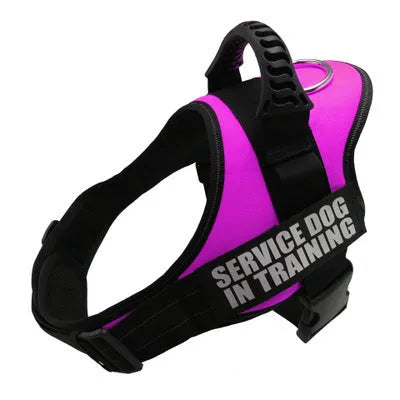 Personalised reflective nylon no-pull dog harness vest shown in a colour option, featuring adjustable straps and a patch panel.