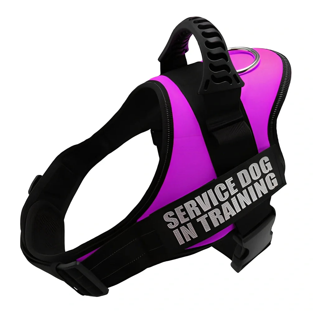 Adjustable reflective dog harness with top handle and metal D-ring for leash attachment