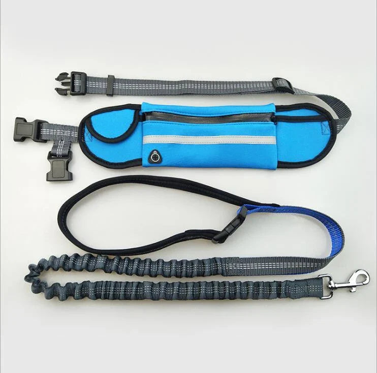 Adjustable hands-free dog running leash with reflective waist pocket in multiple colors