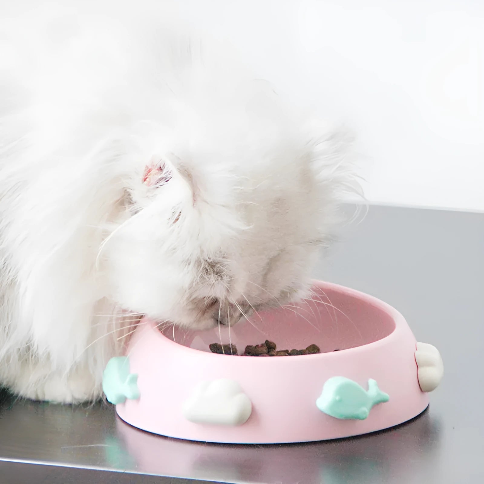 Anti-skid plastic dog bowl in blue sky and white clouds colour for non-slip feeding