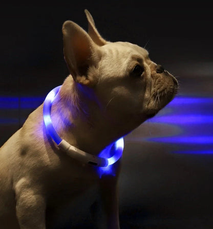 LED Pet Light Collar for Dogs in Blue with Adjustable Modes