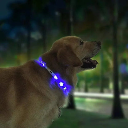 LED Pet Light Collar for Dogs in Blue with Adjustable Modes