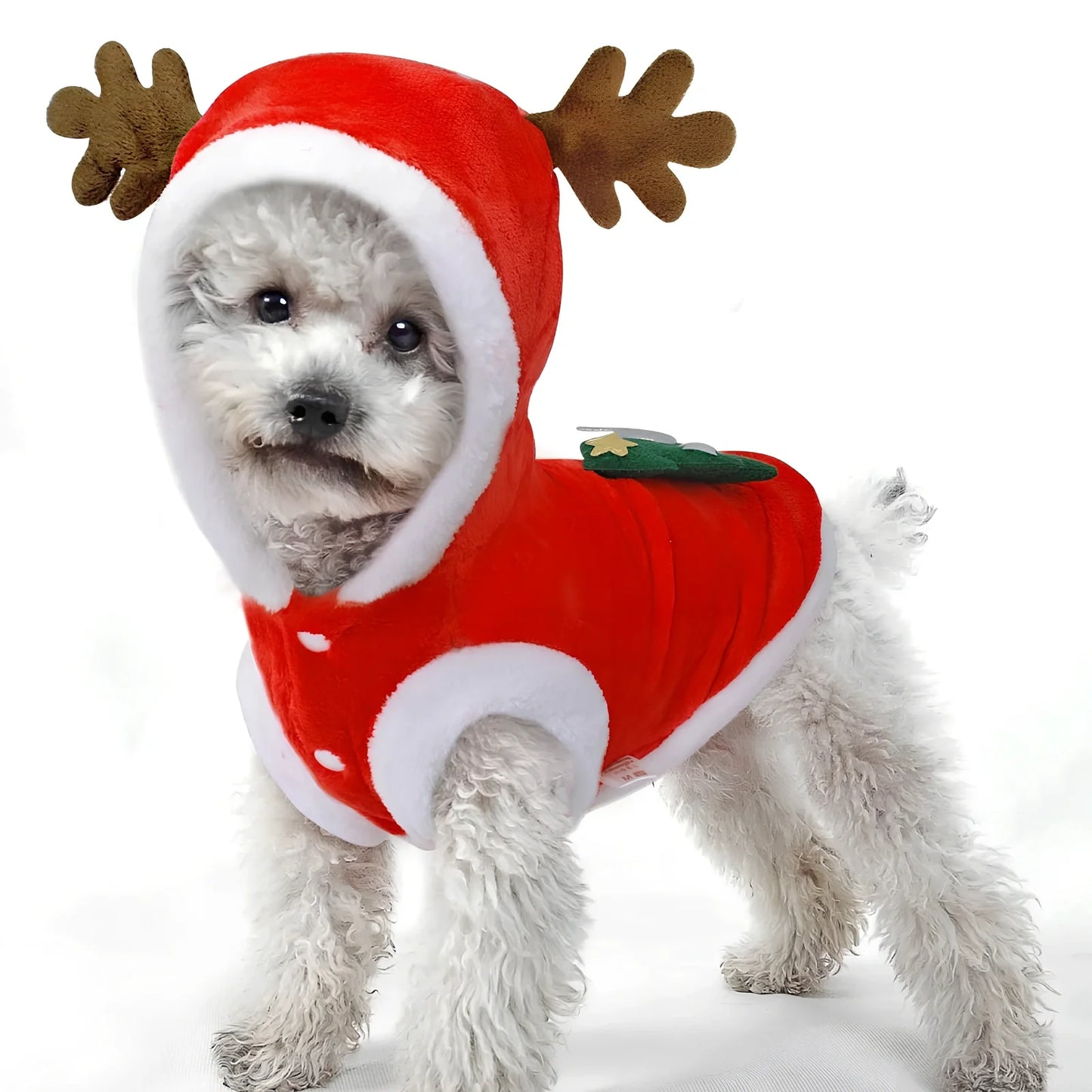 Red flannel Santa Christmas costume for small dogs, XS size with 28 cm chest and 20 cm back measurements