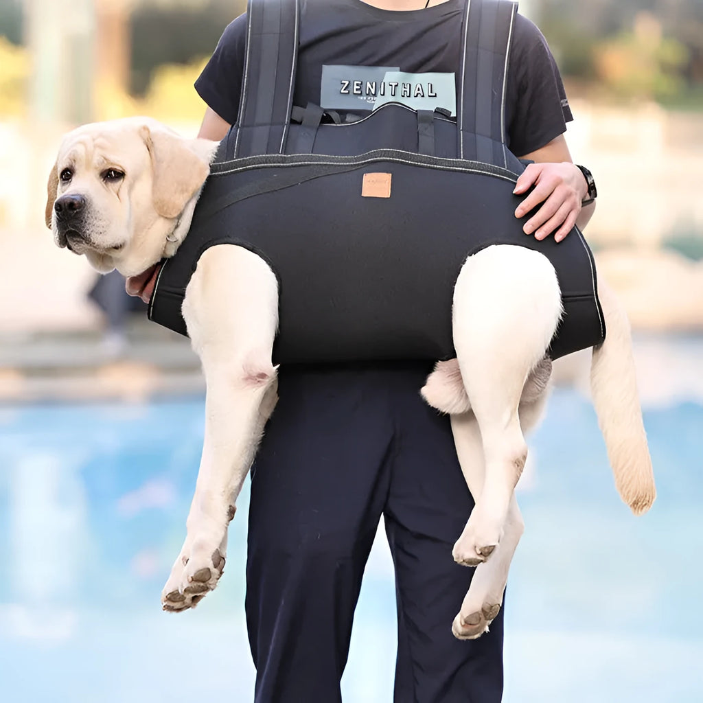 Black oxford cloth dog backpack for medium to large pets with soft construction