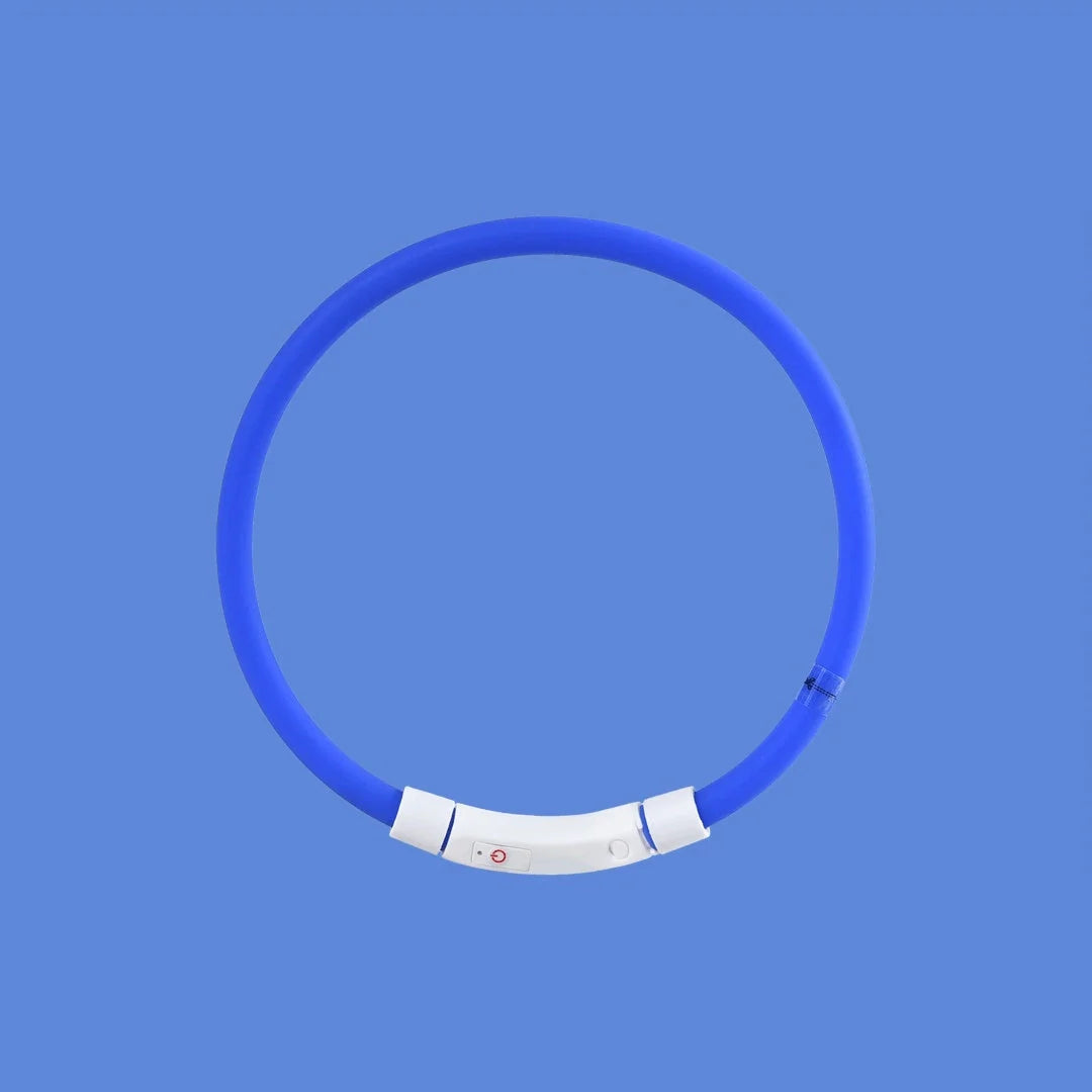 LED Pet Light Collar for Dogs in Blue with Adjustable Modes