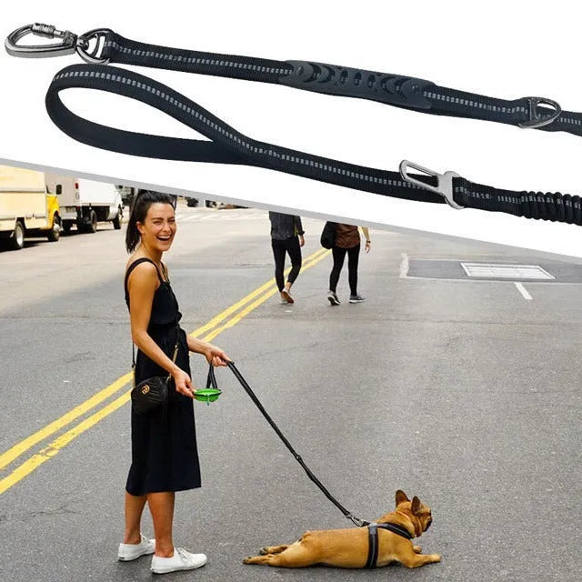 Polyester dog leash with metal hook, hand-holding design, 2.5 x 135cm, on plain background