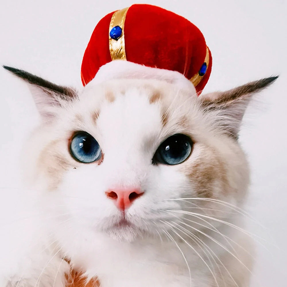 Cartoon-style cloth hat for cats in various designs, perfect for warmth and style