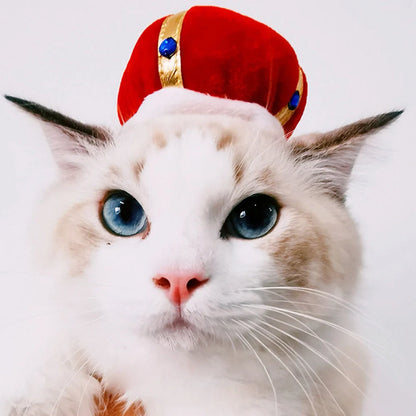 Cartoon-style cloth hat for cats in various designs, perfect for warmth and style