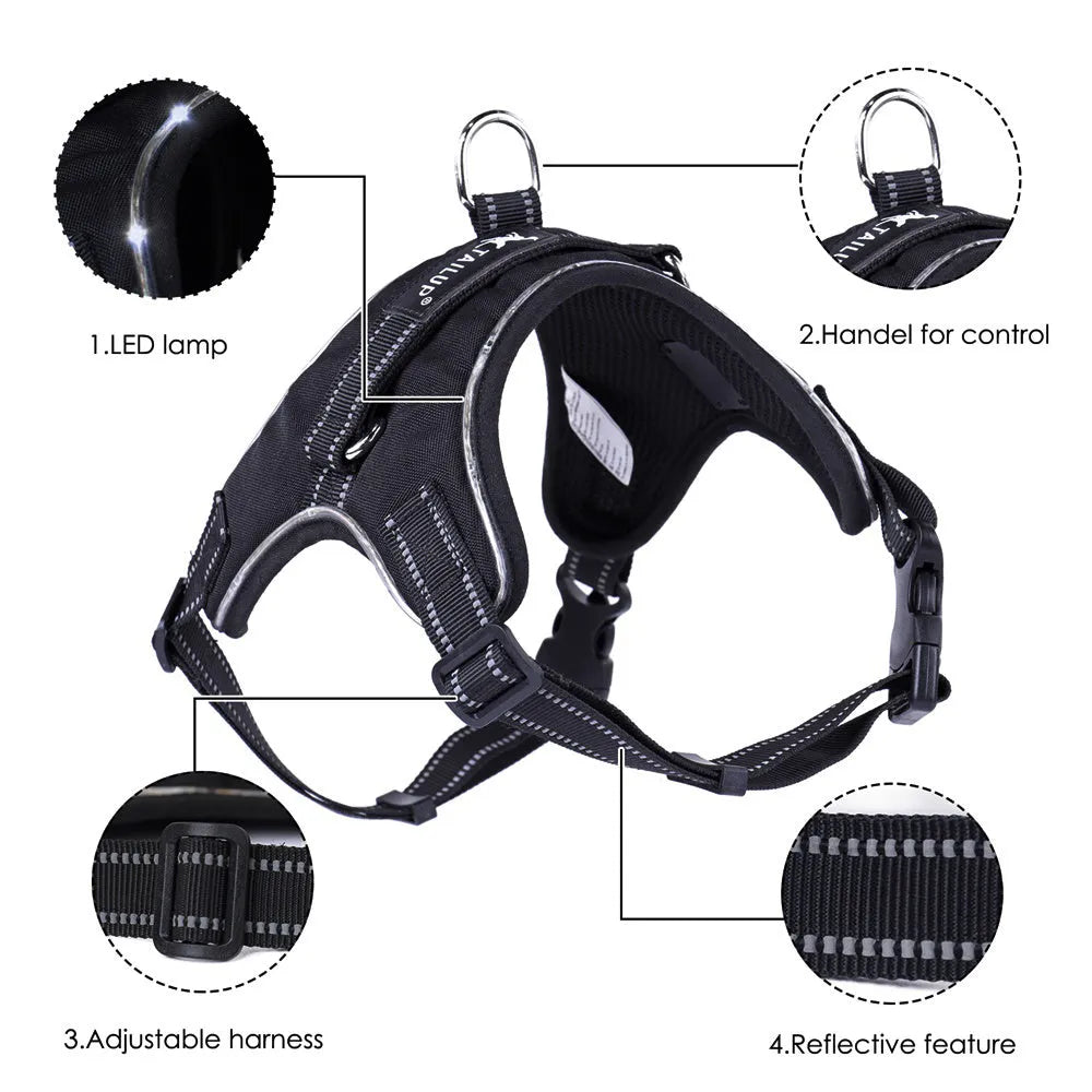 Glowing dog collar with LED lights and reflective strips in 1000D Oxford material