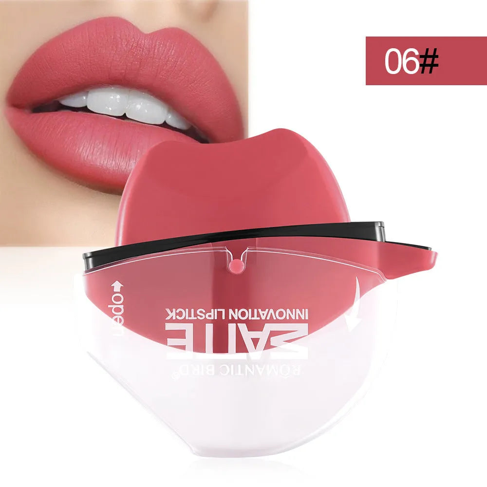 Matte lipstick lip gloss in multiple colour shades for lip modification