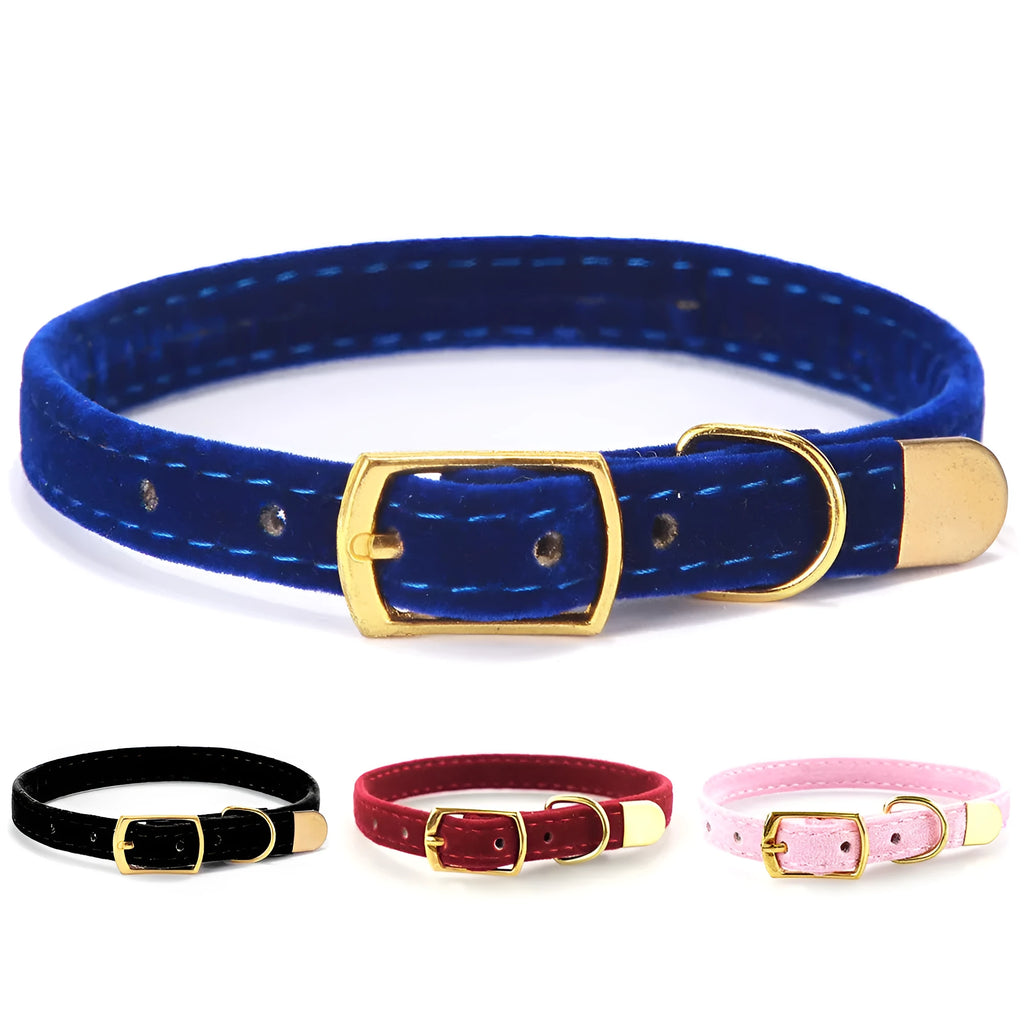 Soft flocking cat collar for small to medium cats in Blue colour on a white background
