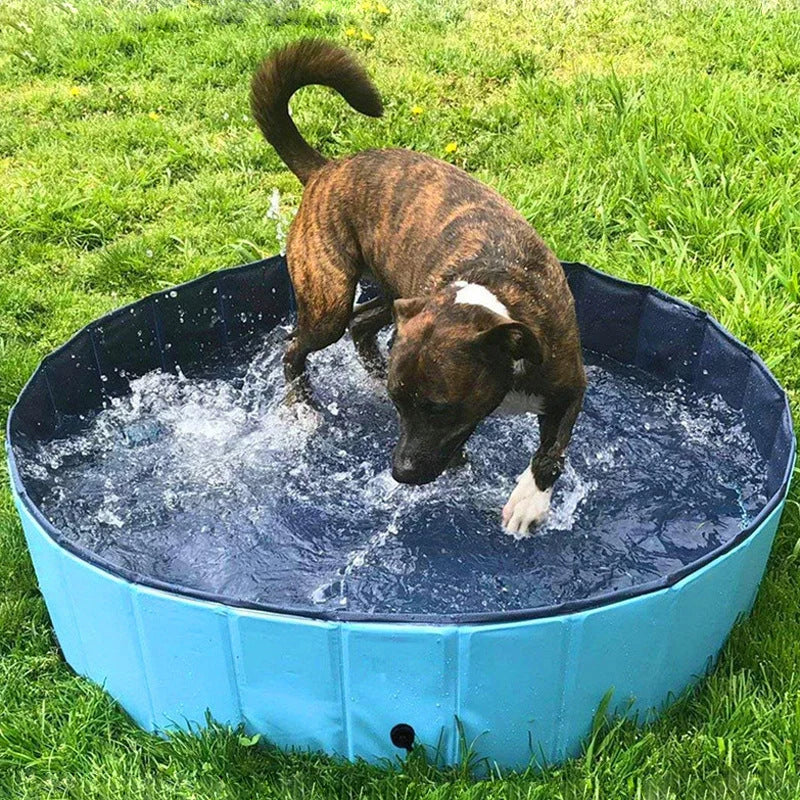 Collapsible dog pool in blue water pattern and red sea wave designs, perfect for pets and kids
