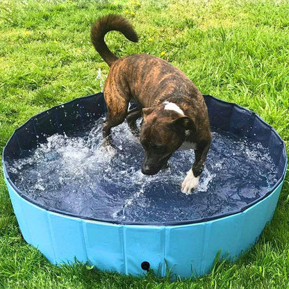 Collapsible dog pool in blue water pattern and red sea wave designs, perfect for pets and kids