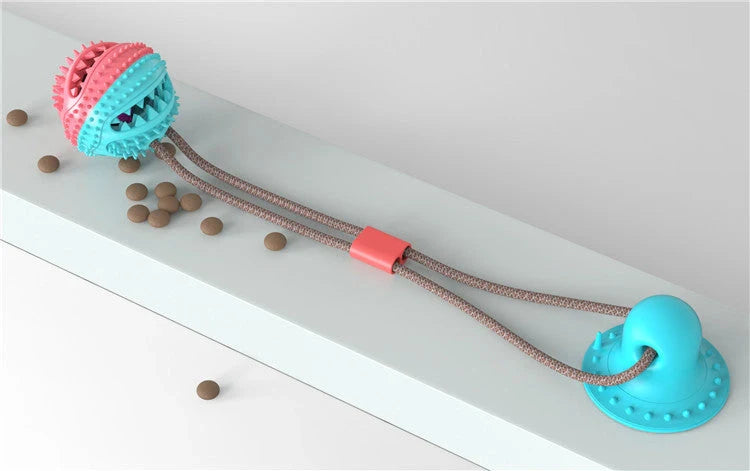 Durable suction cup molar toy for dogs promoting dental health through play