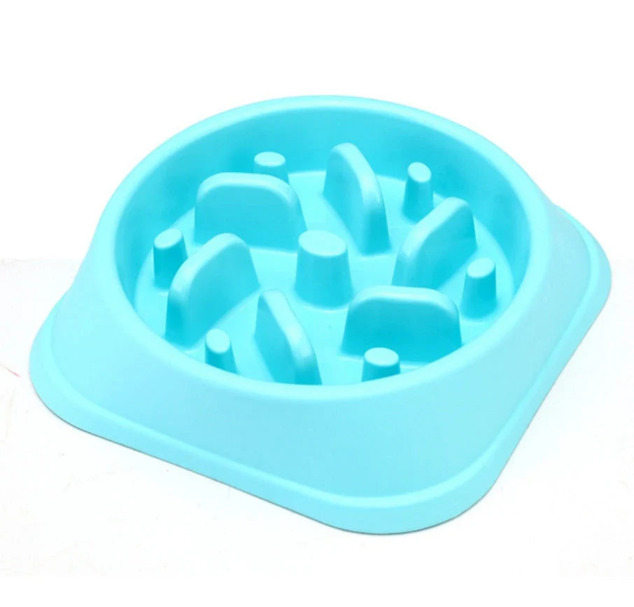 Anti-choke plastic dog bowl in pink, blue, green, and yellow