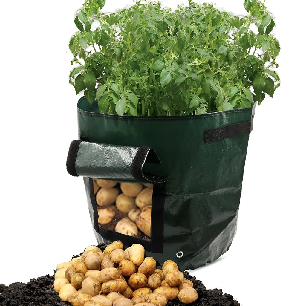 Dark green PE cloth garden planting bag with side windows and double handles on a balcony