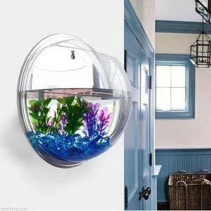 Wall-mounted transparent acrylic fish bowl in various sizes for space-saving aquatic displays