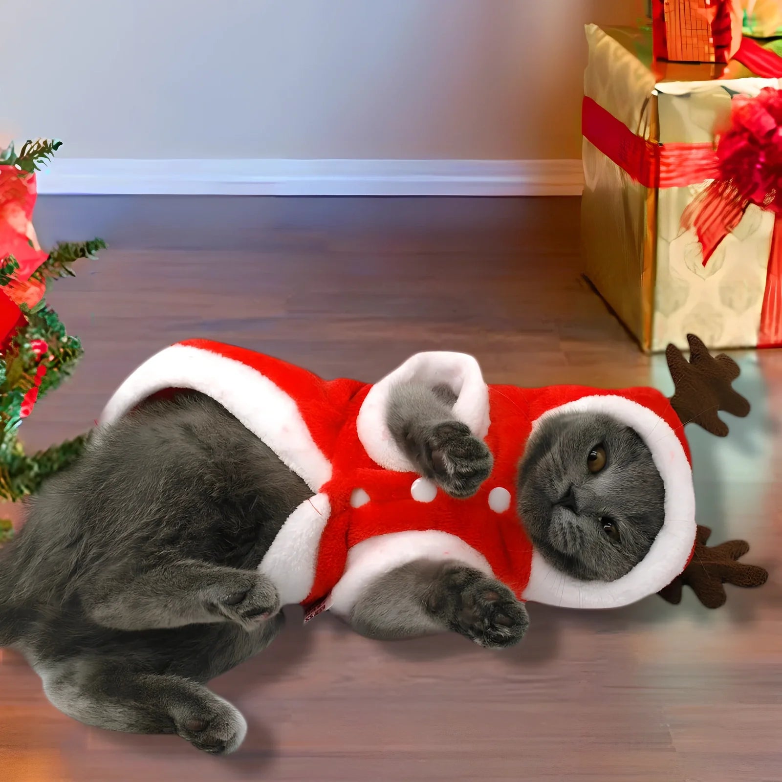 Red flannel Santa Christmas costume for small dogs, XS size with 28 cm chest and 20 cm back measurements