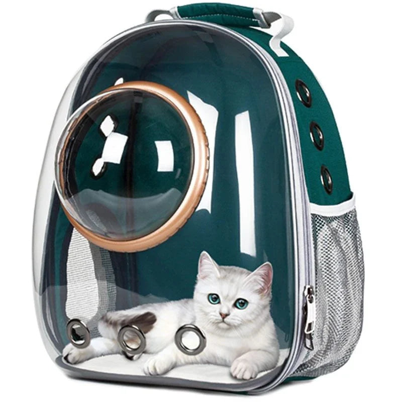 Transparent Pet Space Bag for cats, featuring a clear view and breathable design