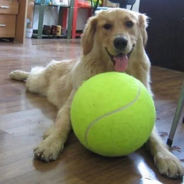 64mm non-toxic rubber and felt dog molar tennis ball toy for chewing and fetching