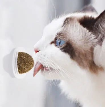 Mint ball catnip toy for cats, 20g, available in 3.3cm and 4cm sizes