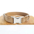 Green nude velvet adjustable pet collar on a light background, with polyester construction and scalable buckle