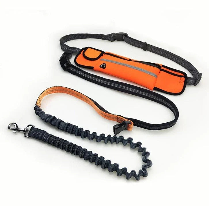 Adjustable hands-free dog running leash with reflective waist pocket in multiple colors