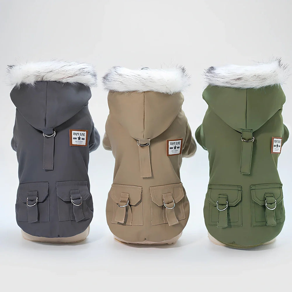 Grey cap dog coat hoodie on small breed like Chihuahua, warm wool blend for autumn winter, sizes S-XXL available