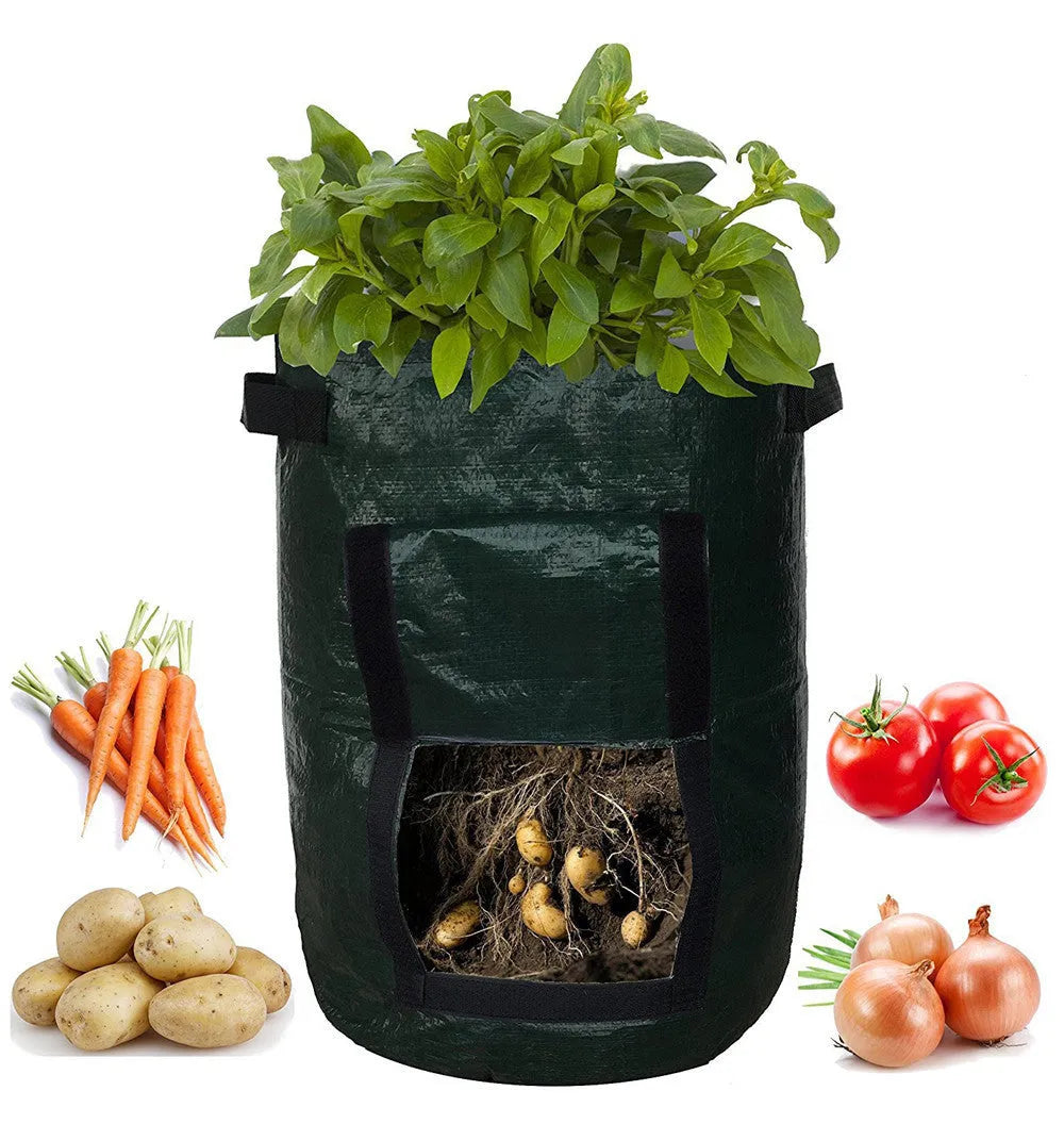 Dark green PE cloth garden planting bag with side windows and double handles on a balcony