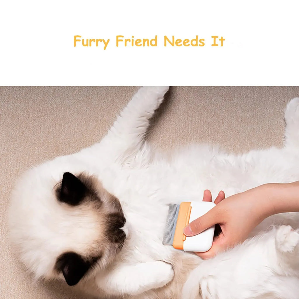 Blue double-sided pet grooming comb for cats and dogs with stainless steel brushing surfaces