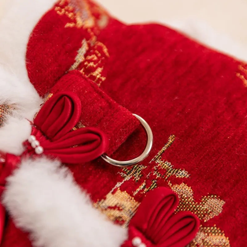 Small dog wearing red and gold brocade Tang suit with frog knot and white fluffy trim for Lunar New Year