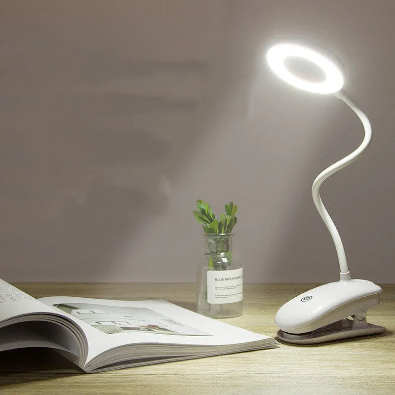 Clip-on rechargeable desk lamp with touch control and LED light source