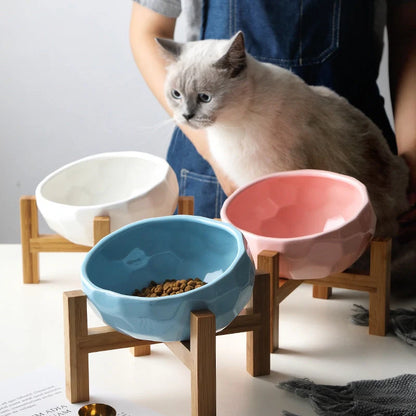Oblique mouth pet bowl set for cats and dogs in various colors