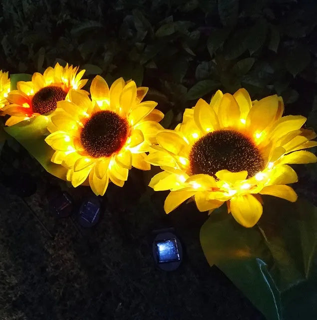 Yellow LED solar sunflower lamp on a lawn with a 66cm stem and 15cm flower head