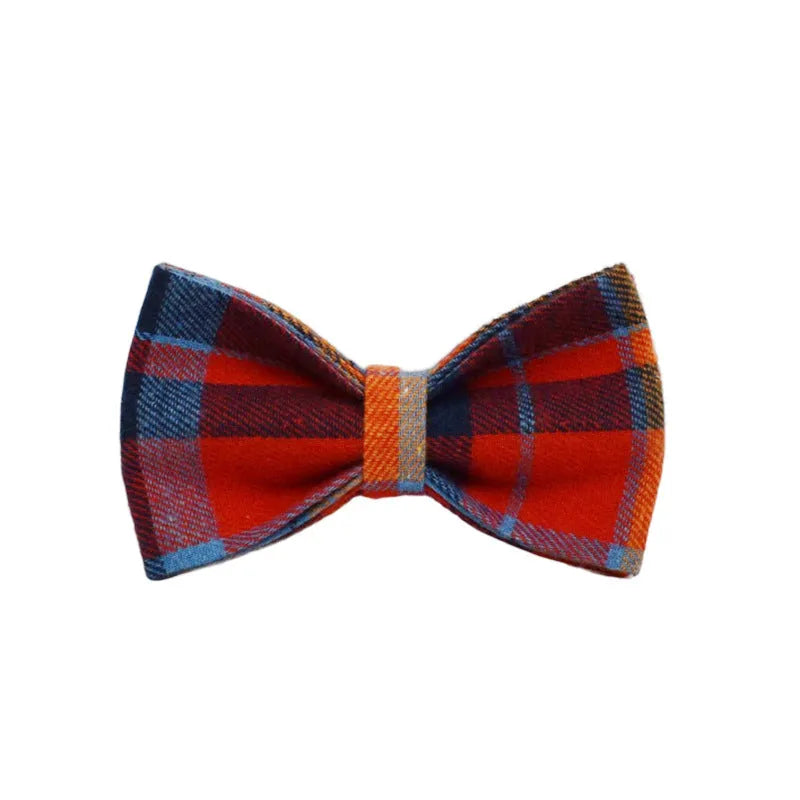 Four-piece dog accessory set with fabric collar, matching lead, decorative bow tie, and coordinating vest