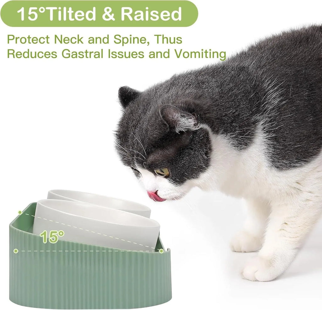 Ceramic elevated cat bowls set with 15 degree tilt in green, white and yellow colour options