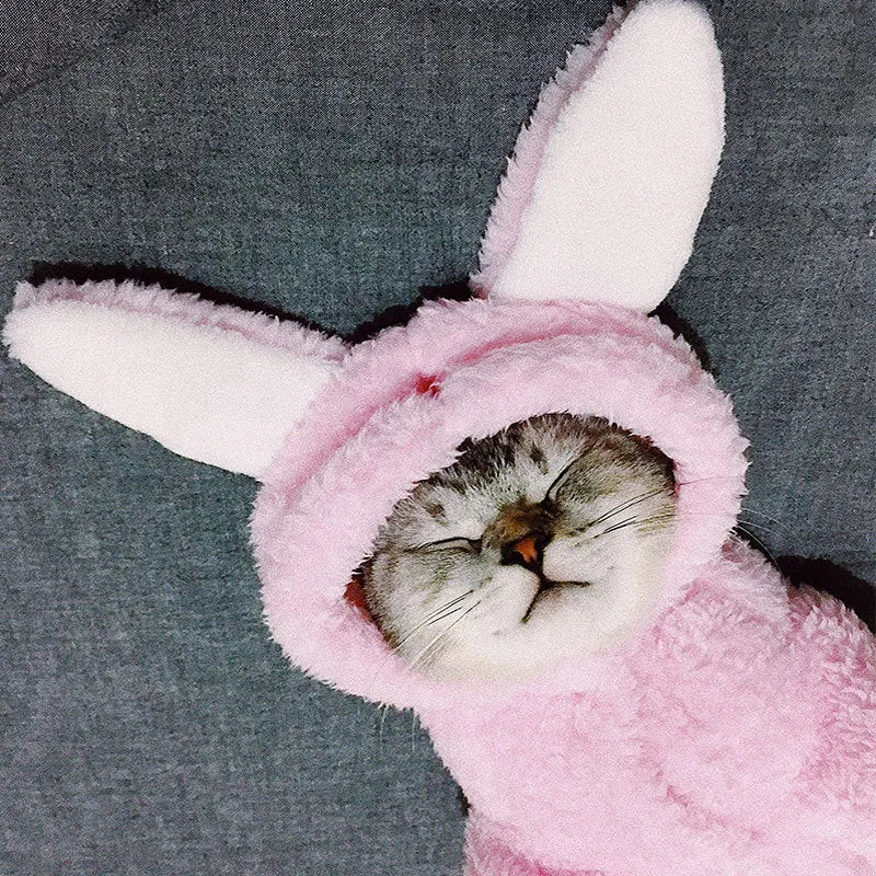 Funny cat clothes cotton pet outfit with cute pink rabbit design on a white background