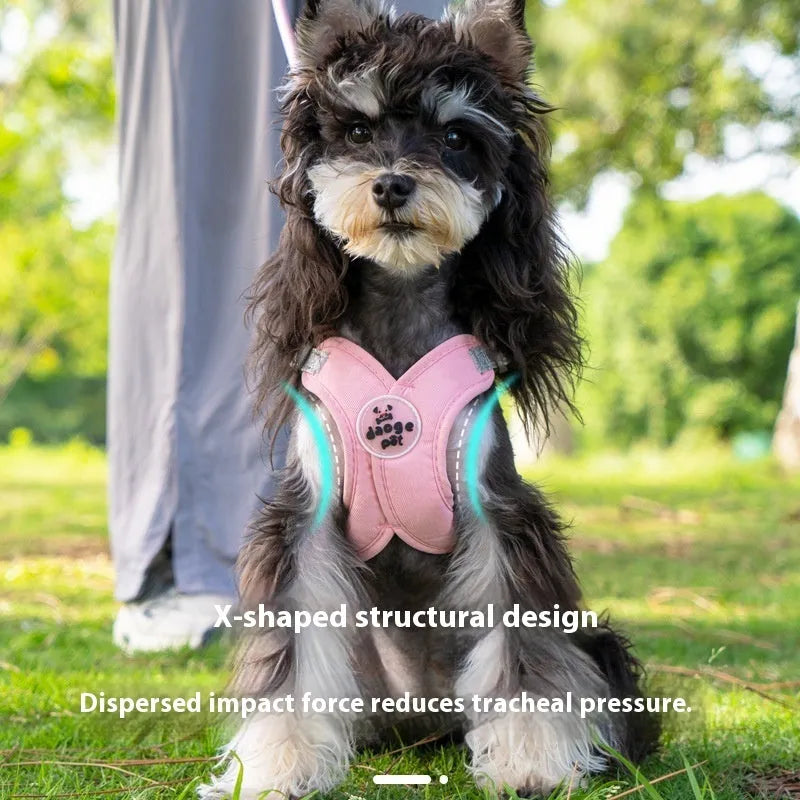 Blue polyester dog harness vest with an attached hand-holding rope on a medium-sized dog.