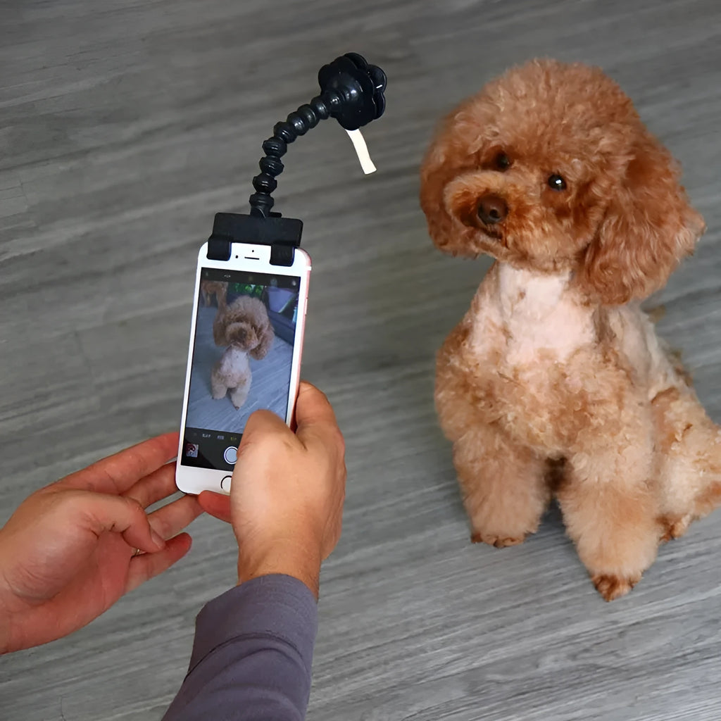 Pet selfie stick with adjustable smartphone clip for dog and cat photography