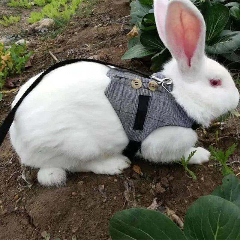 Grey cloth rabbit leash and dress set with chest strap for small pets