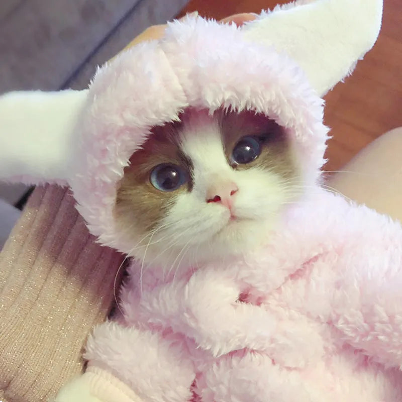 Funny cat clothes cotton pet outfit with cute pink rabbit design on a white background