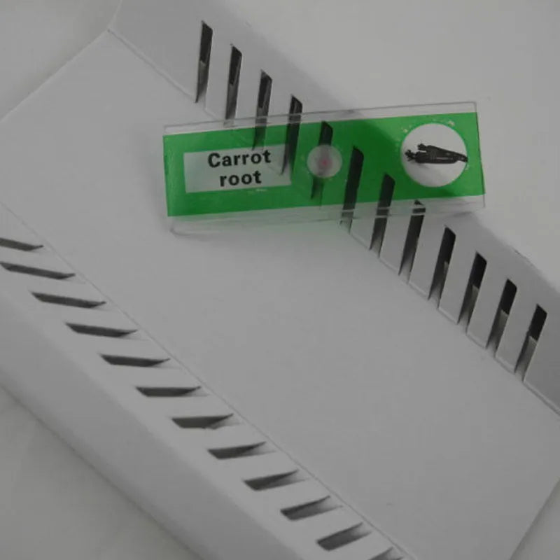 48 plastic microscope slides with plant and animal specimens in colour-coded boxes for children's science observation