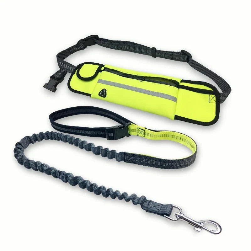 Adjustable hands-free dog running leash with reflective waist pocket in multiple colors
