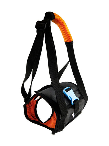 Disabled dog support harness in blue, showing adjustable waist and elastic handle for comfortable walks.