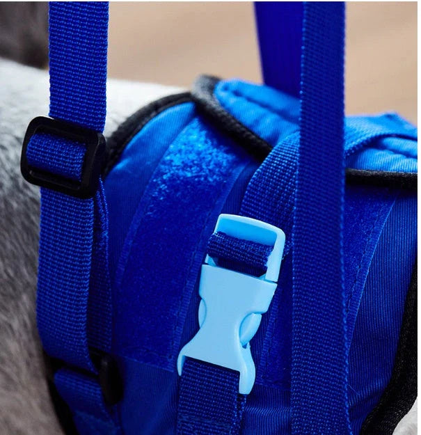 Disabled dog support harness in blue, showing adjustable waist and elastic handle for comfortable walks.