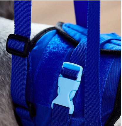 Disabled dog support harness in blue, showing adjustable waist and elastic handle for comfortable walks.
